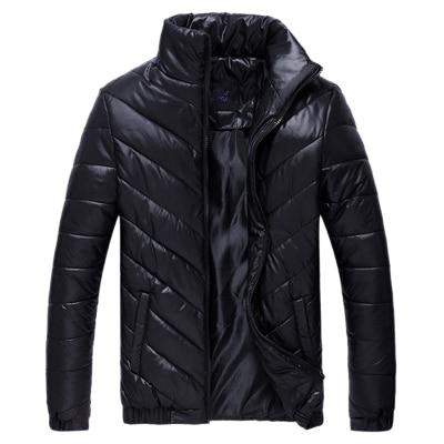 Sierra  Monteverde Padded Jacket (3 Designs)